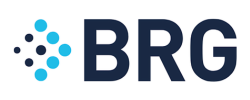 Berkeley Research Group Logo